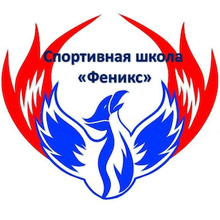 Ю09. СШ Феникс (Московская область)